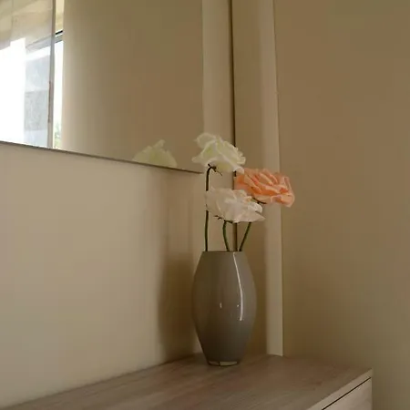 Fiori D'arancio *